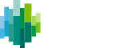 Elite